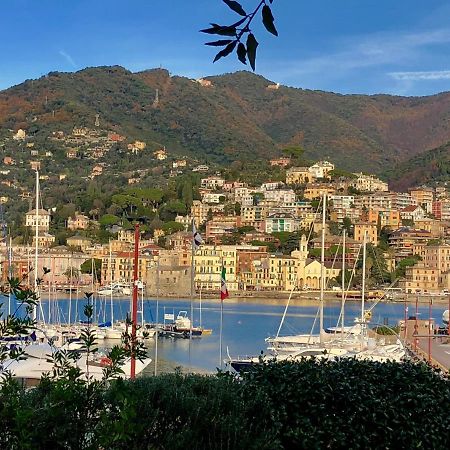 Bella Vacanza - City Center -Air Conditioning -Wi-Fi Rapallo Bagian luar foto